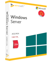 Microsoft Remote Desktop Services 2022 - 25 Pack User CAL Microsoft Remote Desktop Services 2022 - 25 Pack User CAL